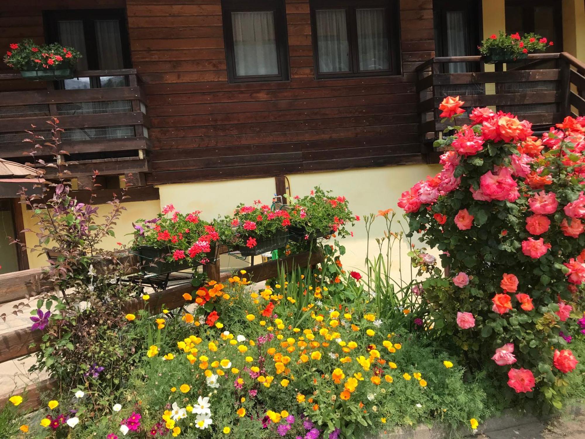 Hotel Ca Fiore Bardonecchia Ngoại thất bức ảnh